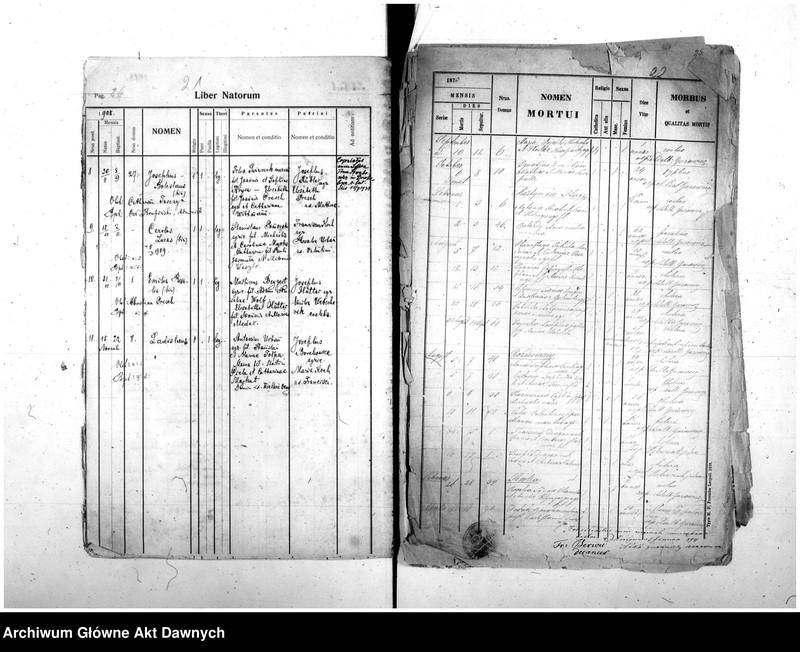 image.from.unit.number "Parafia: różne. Dekanat: różne. Fragmenty akt różnych parafii archidiecezji lwowskiej: 1. Gródek Jagielloński (dek. Gródek) - fragment (prawdopodobnie ekstrakt) księgi urodzeń z lat 1862-1863, 9 s.; 2. Kobylnica/Fehlbach (dek. Lubaczów) - fragment (prawdopodobnie ekstrakt) księgi urodzeń z lat 1901-1904, 1906-1908, 26 s.; 3. Martynów Nowy (dek. Dolina) - fragment księgi zgonów 1871, 1873, 5 s.; 4. Nadwórna (dek. Stanisławów) - fragment księgi urodzeń 1890, 9 s.; 5. Podhajce (dek. Podhajce) - fragment księgi zgonów 1899, 8 s.; 6. Podhorce (dek. Brody) - fragment księgi ślubów 1899-1900, 7 s.; 7. Stanisławów (dek. Stanisławów) - fragment (ekstrakt) księgi zgonów 1876 (pośw. 1877), s. 20; 8. Św. Stanisław (dek. Stanisławów) - fragment (ekstrakt) księgi urodzeń 1929, 2 s.; 9. Tyśmienica (dek. Stanisławów) - fragment księgi zgonów 1876, 2 s.; 10. Załoźce (dek. Brody) - fragment księgi ślubów, lata osiemdziesiąte XIX w., szczątek, 2 s.; 11. Śniatyn (dek. Horodenka) - fragment księgi urodzeń 1882, szczątek 2 s.; 12. Zawałów (dek. Skałat) - fragment (ekstrakt) księgi zgonów 1914, 3 s.; 13. Złotniki (dek. Podhajce) - fragment księgi zgonów 1891, 1 s.."