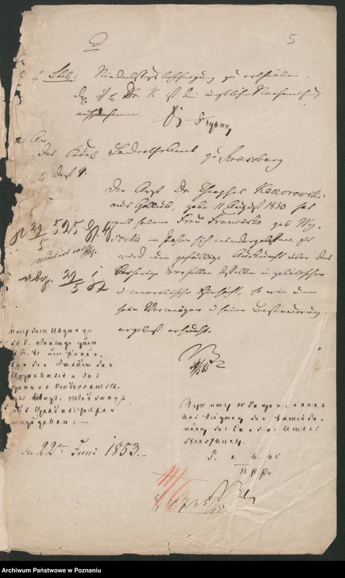 Obraz 9 z jednostki "A. betr. Theofil von Kaczorowski /Koczorowski/"