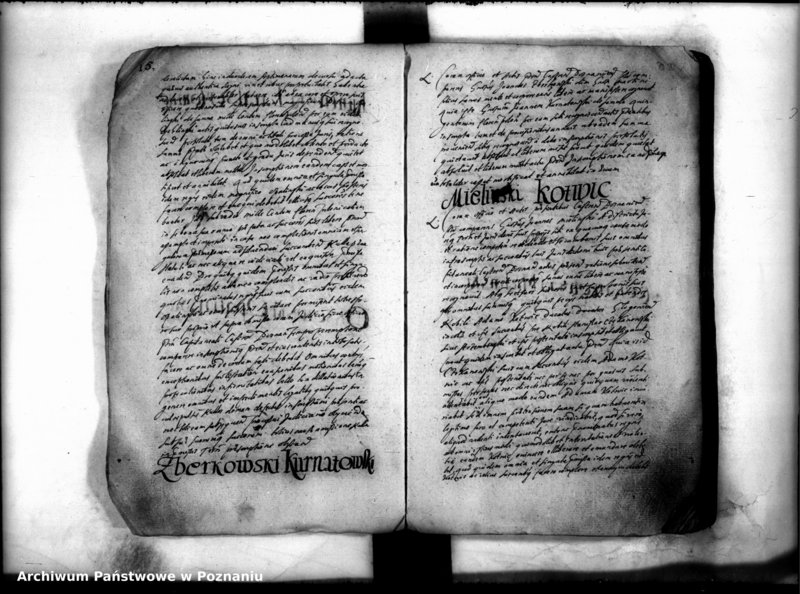 Obraz 17 z jednostki "Inscriptiones [inducta]"