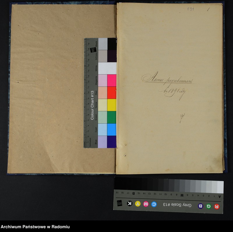 image.from.unit.number "[Duplikat akt urodzonych, zaślubionych i zmarłych Okręgu Bóżniczego Ciepielów za 1891 r.]"