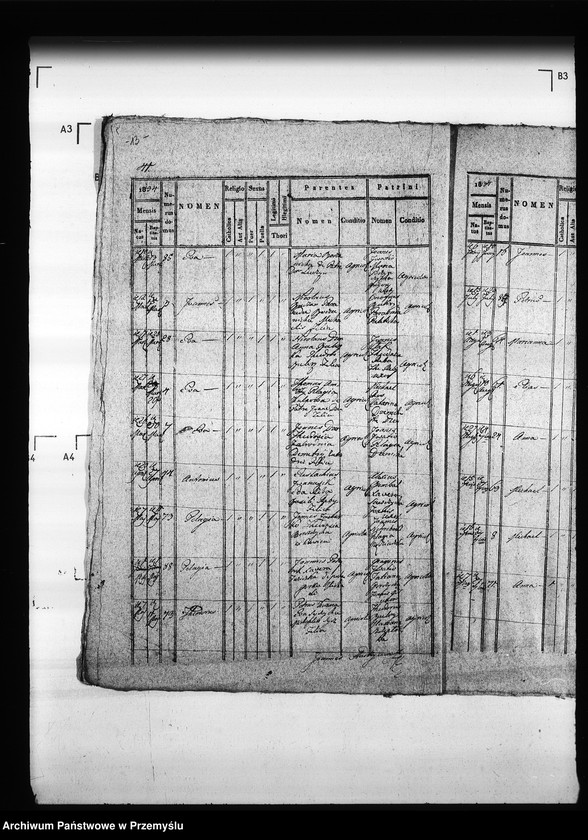 Obraz 17 z jednostki "[Kopie ksiąg metrykalnych parafii Hruszów z filiami Budomierz, Kłonice, Szczepłoty (dekanat Niemirów)]"