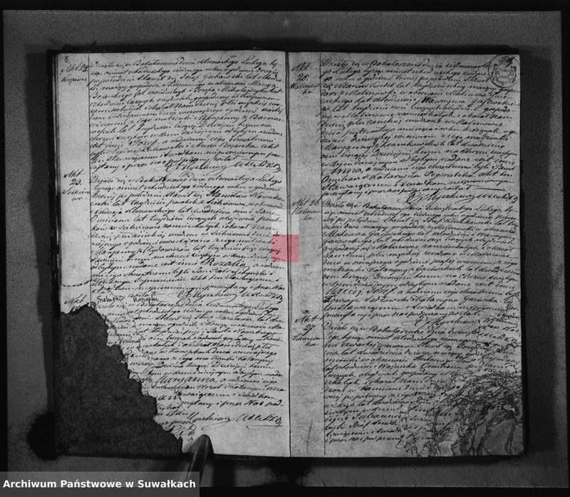 Obraz 7 z jednostki "Duplikat Aktów Urodzonych Zaślubionych i Zeiscia w Parafii Bakałarzewskiej za rok 1847"