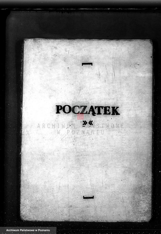 Obraz 3 z jednostki "Las majętności Bieczyny powiat kościański"