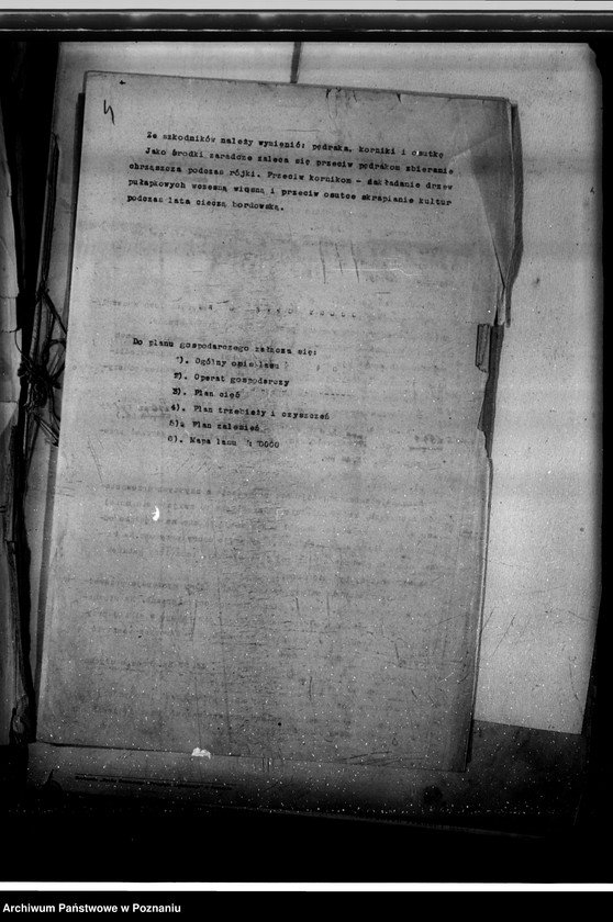 Obraz 8 z jednostki "Program urządzenia gospodarstwa leśnego lasu majętności Owińska powiat poznański"