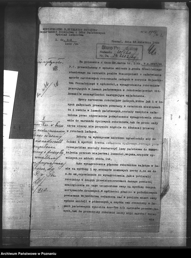 Obraz 6 z jednostki "Leśnictwo"