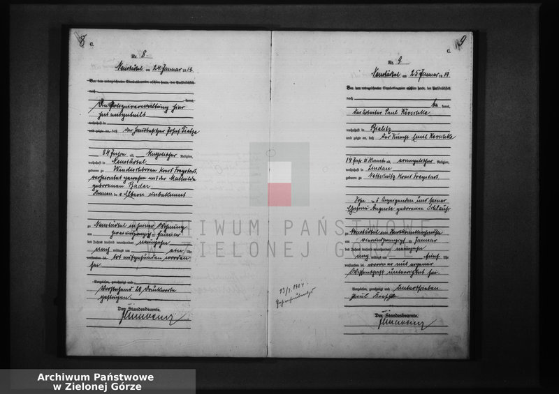 image.from.unit.number "Sterbe-Haupt-Register 1919"