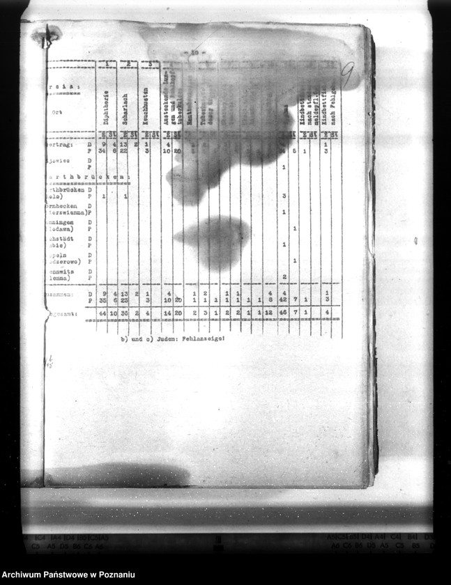 Obraz 14 z jednostki "Statistik der Krankheiten im Wartheland"