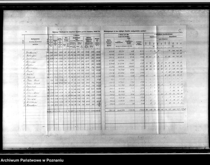 Obraz 16 z jednostki "Viehzählung"