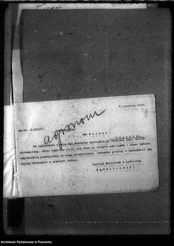 Obraz 13 z jednostki "Posady - zgłoszenia"