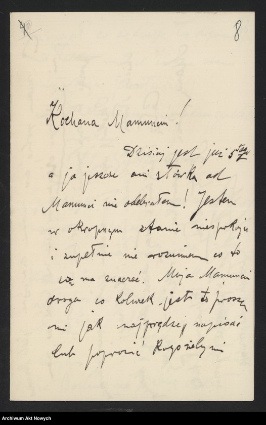 image.from.unit.number "Górski Wacław, Górska Bella Silveira; L.53"