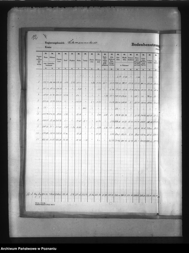 Obraz 15 z jednostki "Statystyka użytków rolnych w Kraju Warty"