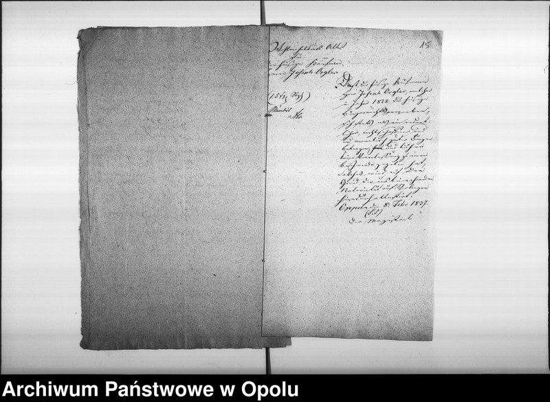 Obraz 18 z jednostki "Acta des Magistrats zu Oppeln betreffend Ertheilung von Geburts pp. Attesten für Juden"