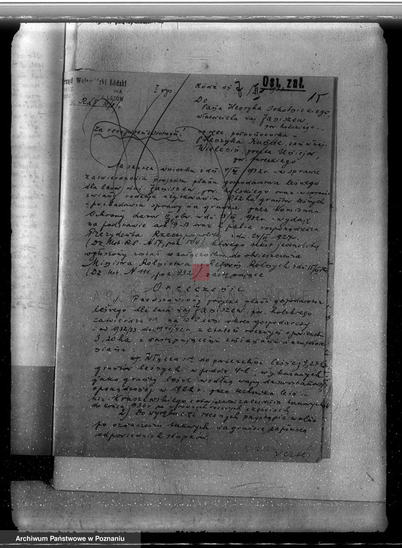 Obraz 19 z jednostki "Zatwierdzenie projektu planu gospodarstwa leśnego dla lasów majątku Janiszew powiat kolski"