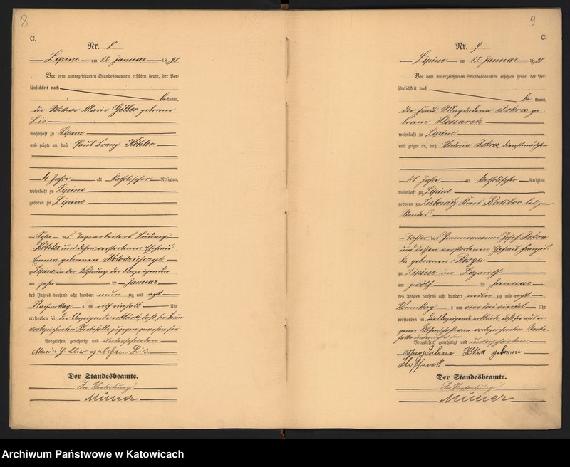 Obraz 7 z jednostki "Księga zgonów nr 1-531"