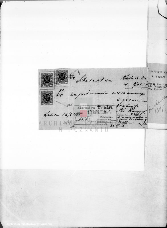 Obraz 9 z jednostki "/Towarzystwo Hodowców Kanarków,,Canaria" w Kaliszu/"