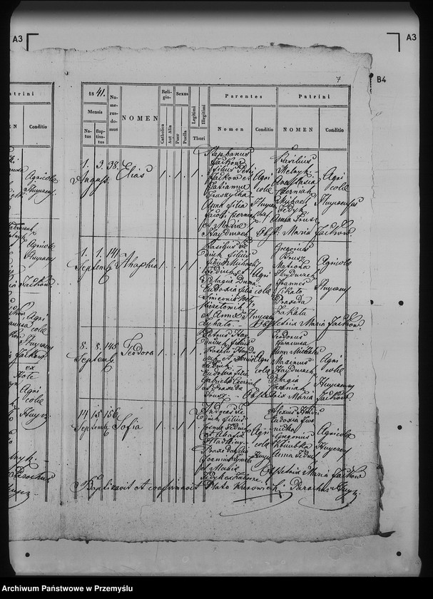 Obraz 11 z jednostki "[Kopie ksiąg metrykalnych parafii Hujcze z filią Zaborze (dekanat Rawa Ruska)]"