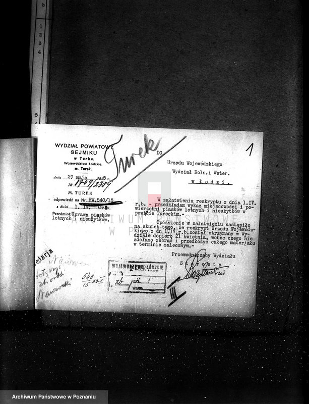 Obraz 5 z jednostki "Zalesienie nieużytków powiatu tureckiego"