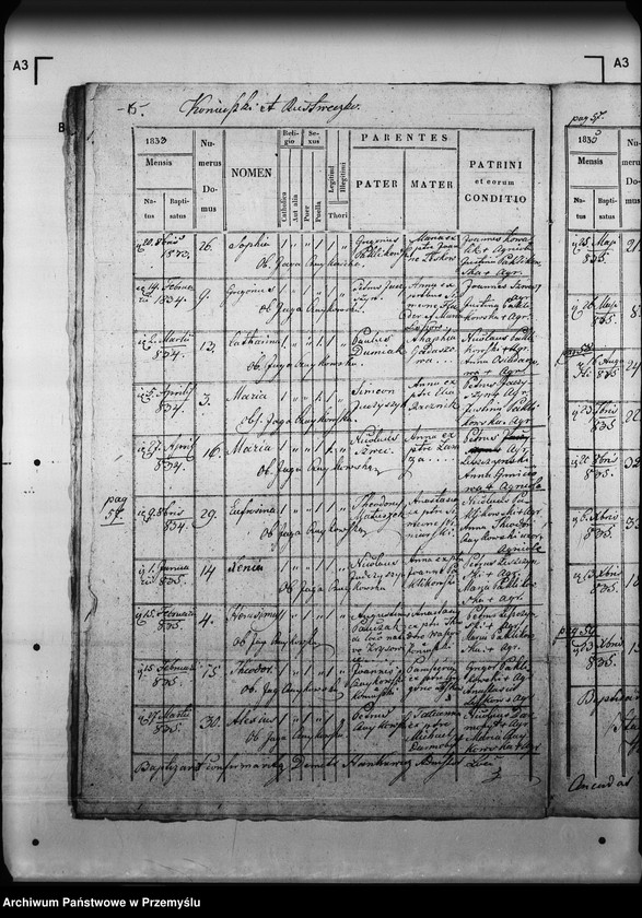 Obraz 20 z jednostki "[Kopie ksiąg metrykalnych parafii Myślatycze (dekanat Mościska)]"