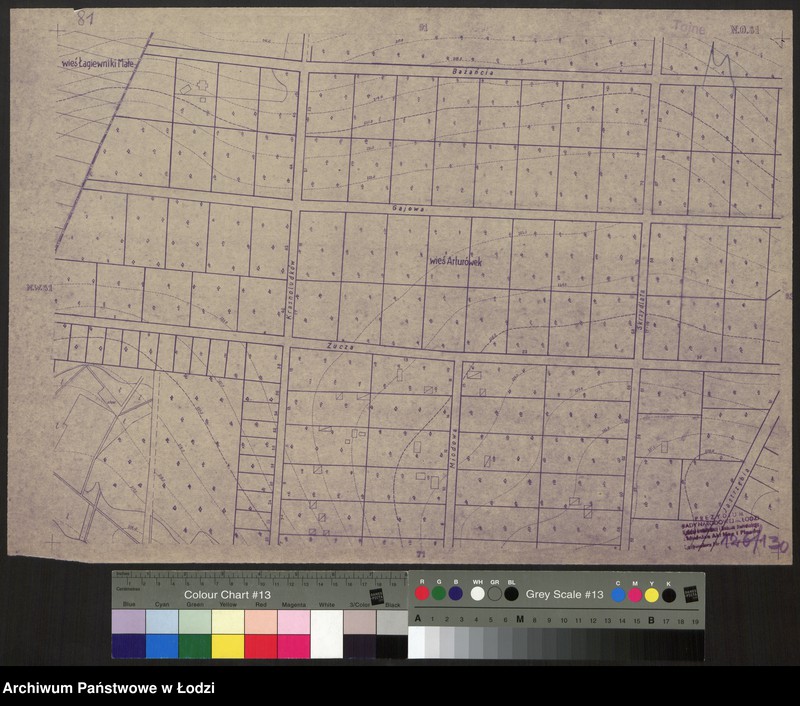 Obraz 1 z jednostki "Plan miasta Łodzi. Sekcja NO 81"