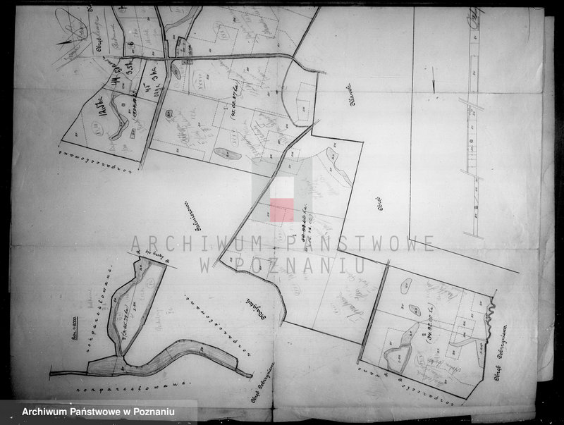 Obraz 6 z jednostki "Rejestr pomiarowy zasiewów części majątku Falmierowo powiatu wyrzyskiego"
