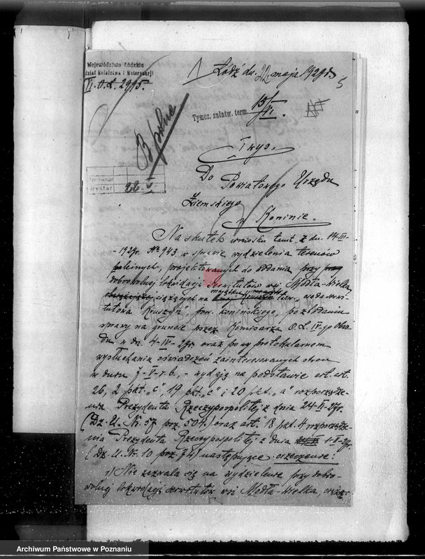 Obraz 9 z jednostki "Majątek Staremiasto powiat koniński /nadzór nad gospodarką leśną/"