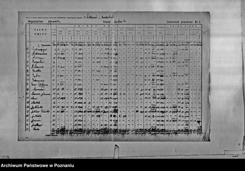 Obraz 18 z jednostki "/Statystyka produkcji rolnej - zestawienie powiatowe - Szubin"