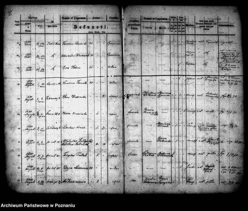 Obraz 20 z jednostki "Księga zgonów"