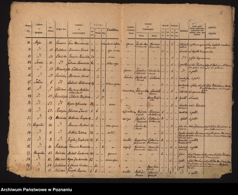 image.from.unit.number "Duplicatus- księga zgonów"