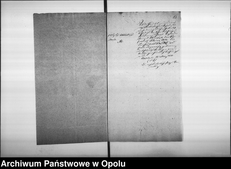 Obraz 20 z jednostki "Acta des Magistrats zu Oppeln betreffend Ertheilung von Geburts pp. Attesten für Juden"