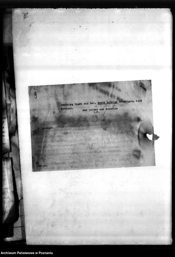 Obraz 13 z jednostki "Korespondencja w sprawie miejscowych Niemców, którzy zginęli w 1939 roku L - Z"