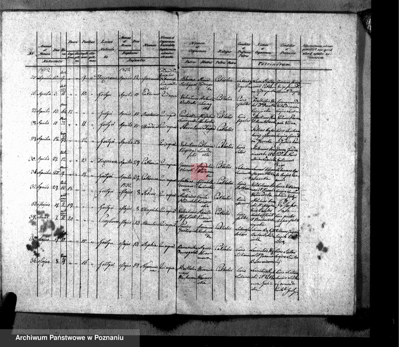 Obraz 6 z jednostki "Liber baptisatorum, copulatorum, mortuorum"