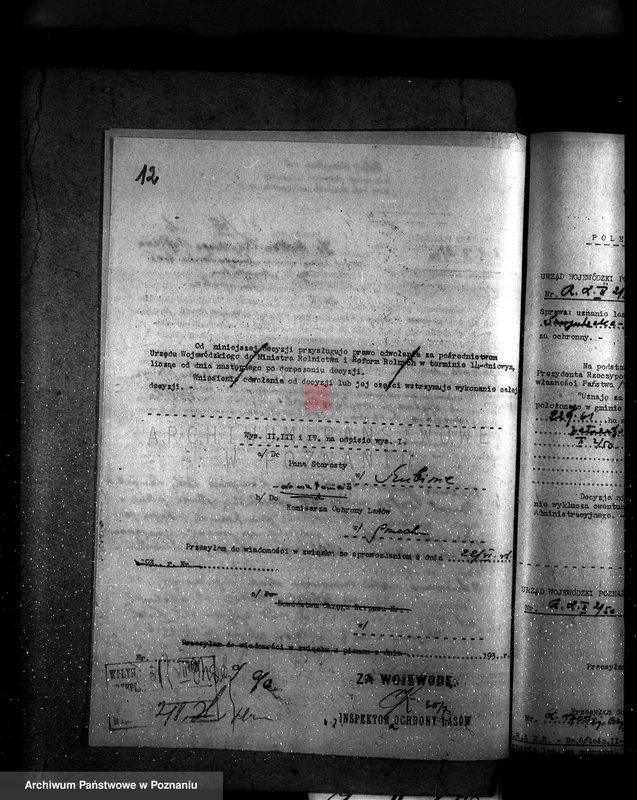 Obraz 16 z jednostki "Majętność /leśna/ Smogulecka Wieś powiat szubiński"