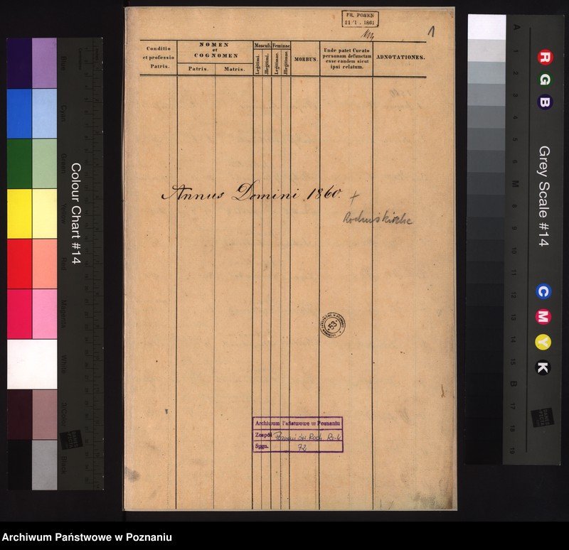 Obraz 3 z jednostki "Duplicat mortuorum"