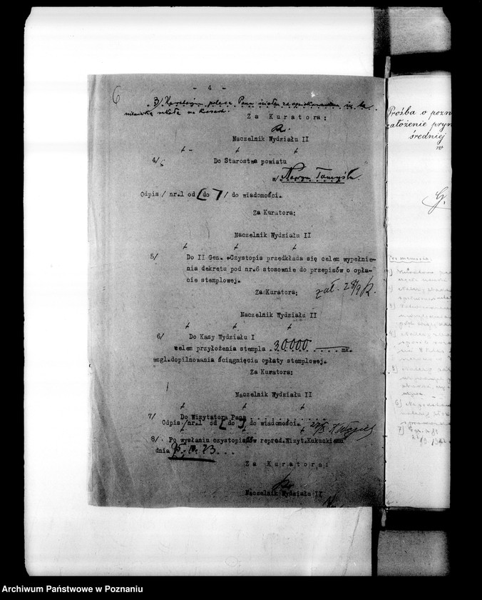 Obraz 9 z jednostki "Niemiecka Prywatna Szkoła Przygotowawcza Lissy Eltner- Zbąszyń"