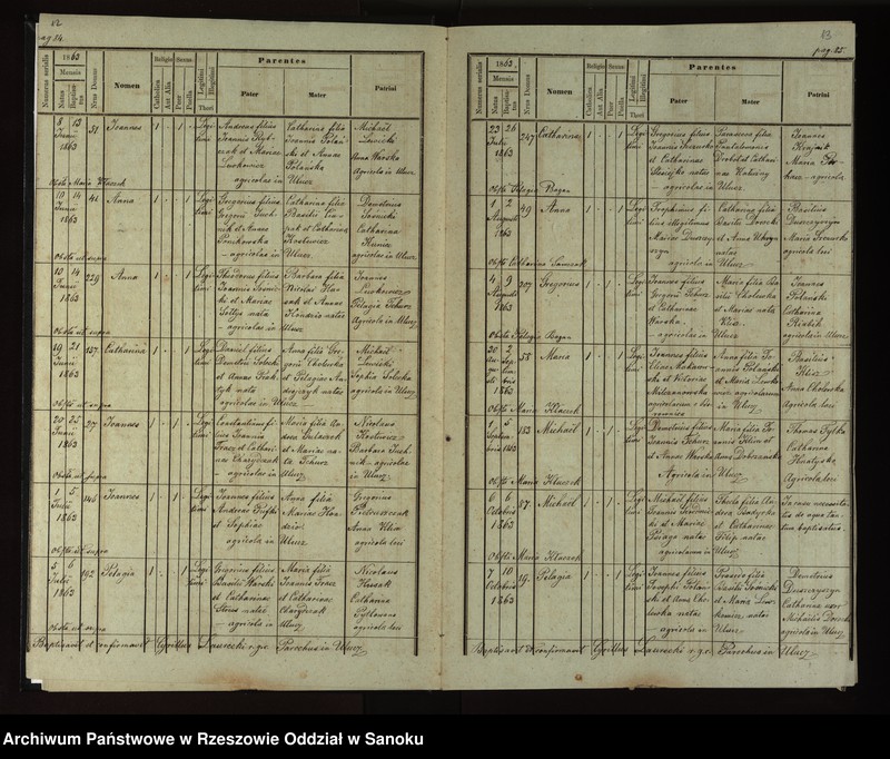 image.from.unit.number "Księga urodzeń, małżeństw, zgonów dla miejscowości Ulucz, Horoszówka (Hroszówka)"