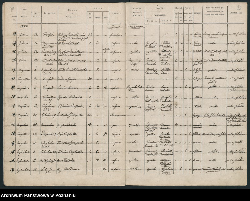 Obraz 13 z jednostki "Księga zgonów"