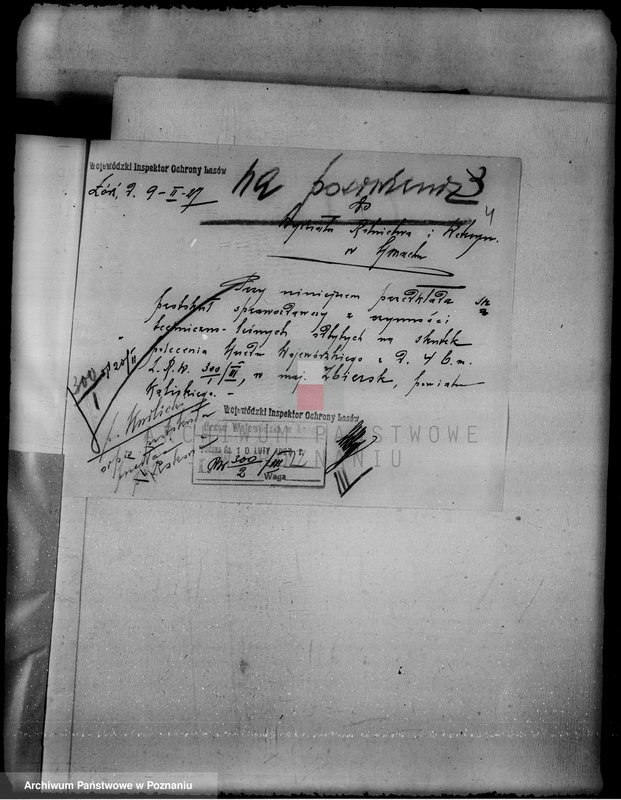 Obraz 8 z jednostki "Lustracja lasu majątku Zbiersk i Petryki powiatu kaliskiego oraz zatwierdzenie uzupełnienia planu gospodarstwa leśnego"