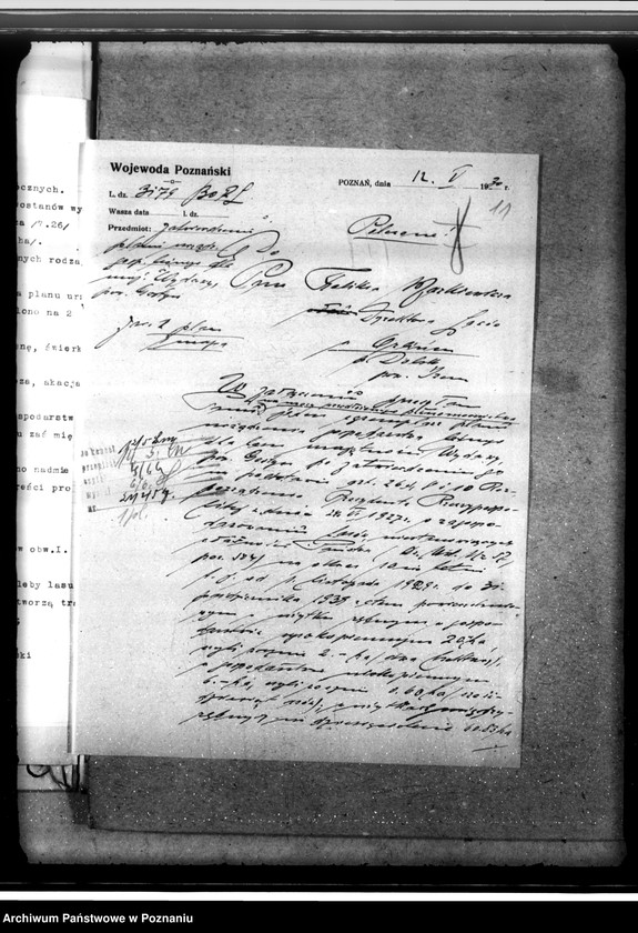 Obraz 15 z jednostki "Lasy majętności Wydawy w powiecie gostyńskim"