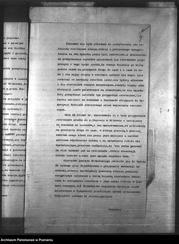 Obraz 8 z jednostki "Leśnictwo"