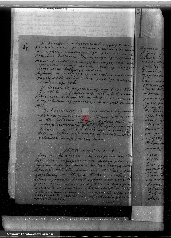 Obraz 20 z jednostki "Zatwierdzenie projektu planu gospodarstwa leśnego dla lasów majątku Janiszew powiat kolski"