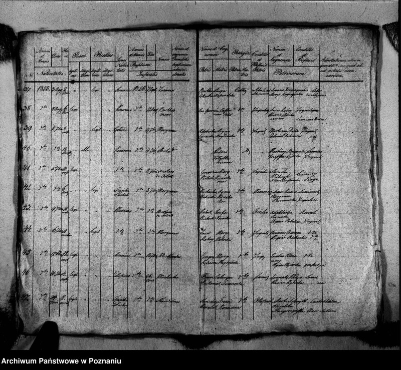 Obraz 7 z jednostki "Liber baptisatorum, copulatorum, mortuorum"