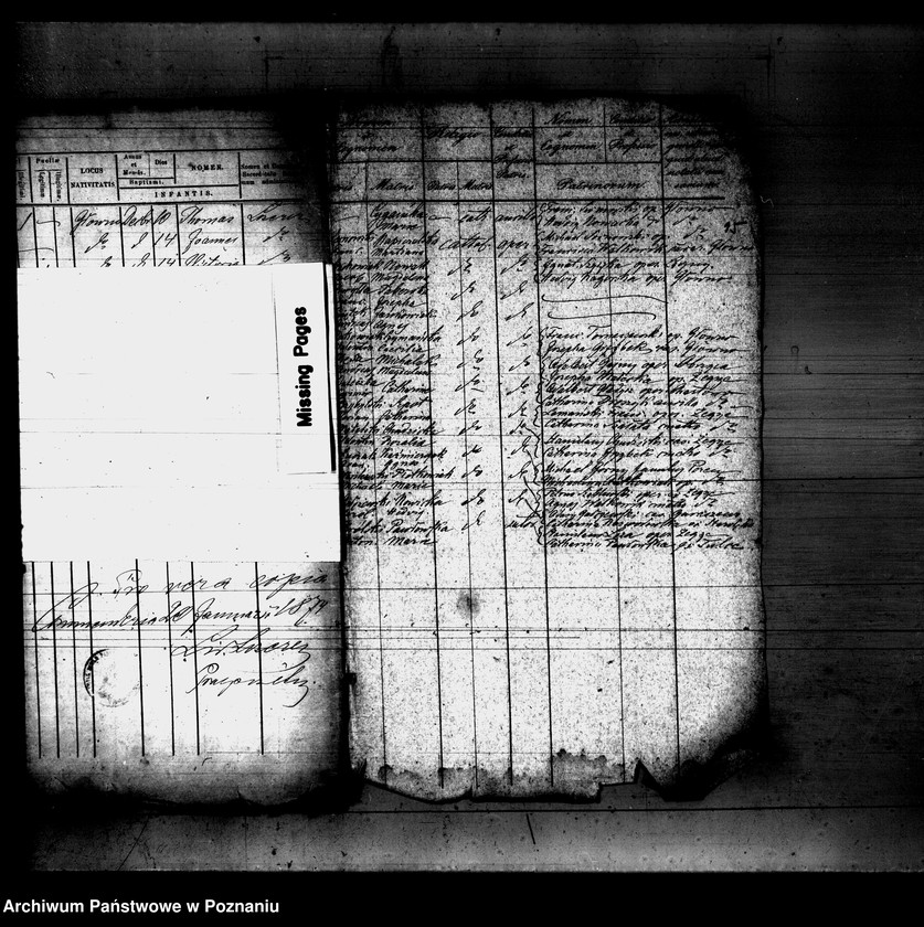 Obraz 10 z jednostki "Księga urodzeń"