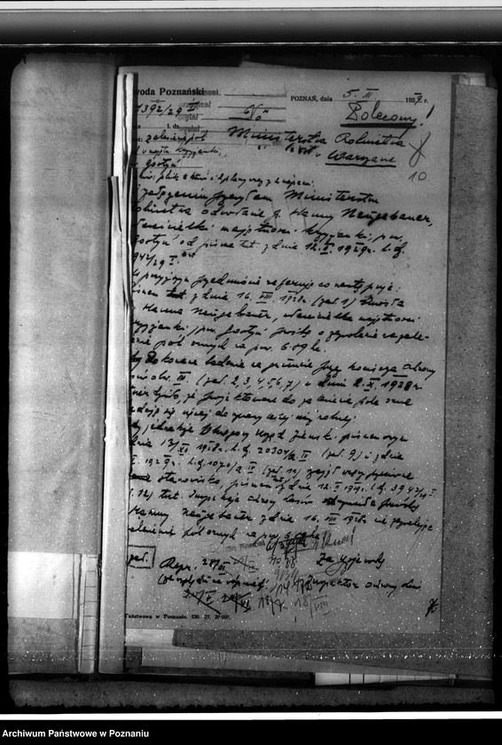 Obraz 14 z jednostki "Majętność leśna Krzyżanki w powiecie gostyńskim"