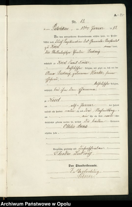 image.from.unit.number "Geburts-Haupt-Register des Standesamts Patschkau Stadt und Land pro 1893"