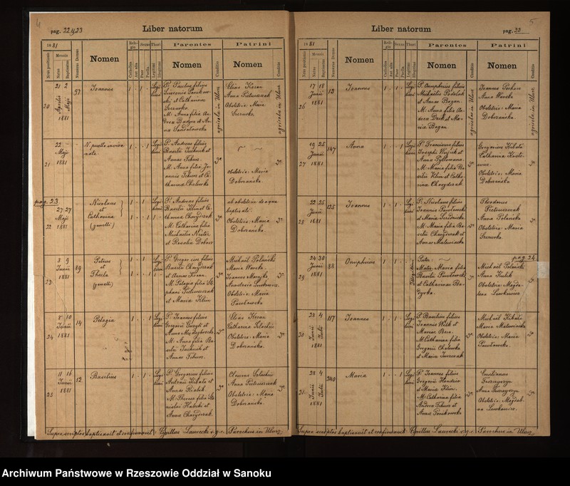 image.from.unit.number "Księga urodzeń, małżeństw, zgonów dla miejscowosci Ulucz, Horoszówka (Hroszówka)"