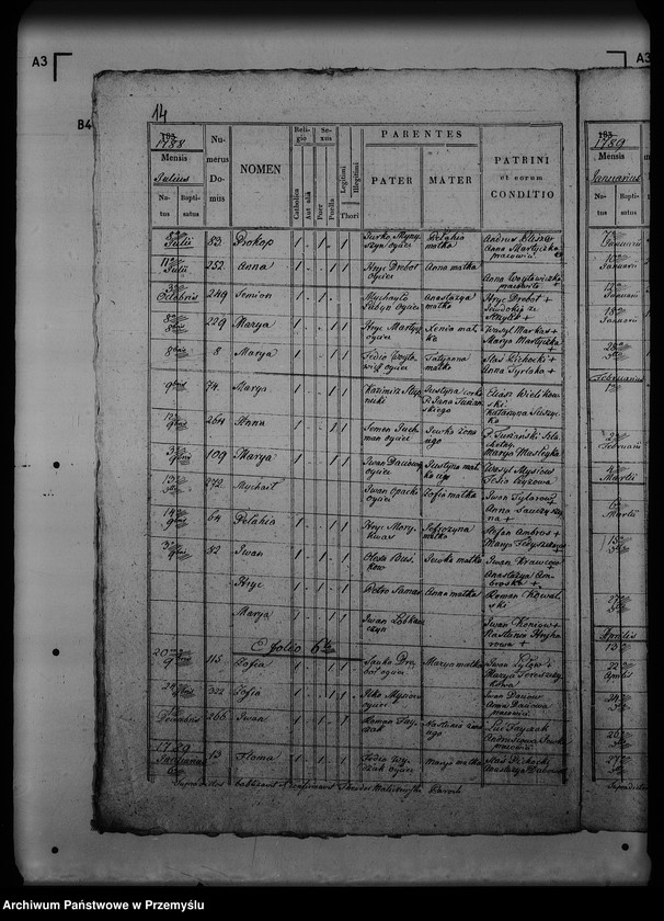 Obraz 18 z jednostki "[Kopie ksiąg metrykalnych parafii Turze (dekanat Rozłucz)]"