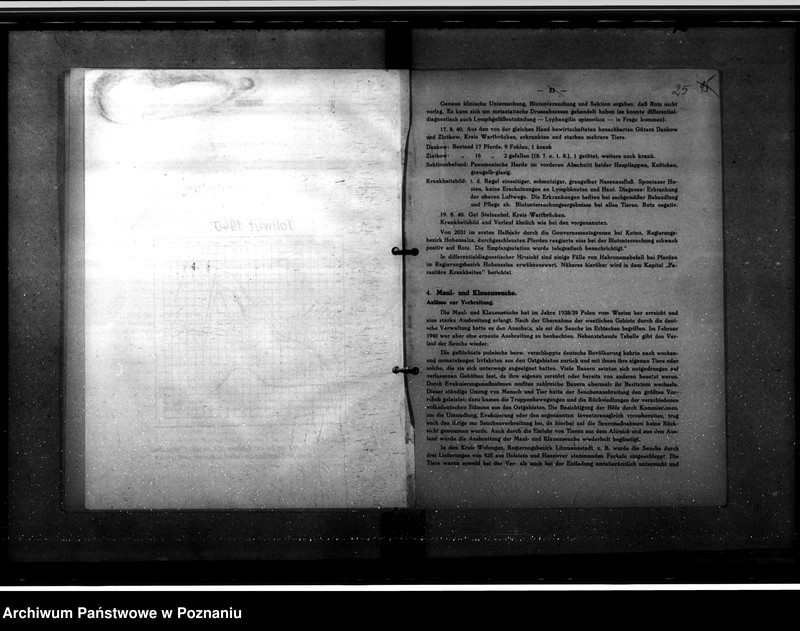 Obraz 20 z jednostki "Jahresveterinärberichte"