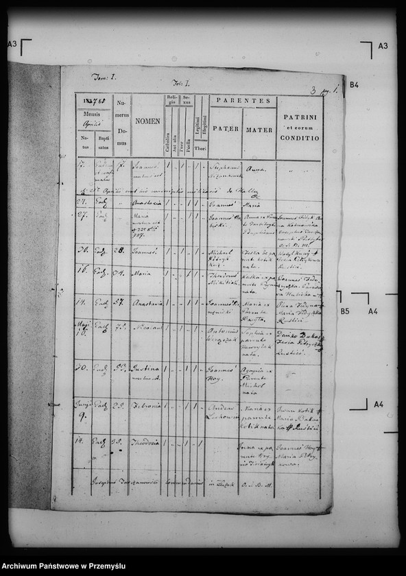 Obraz 7 z jednostki "[Kopie ksiąg metrykalnych parafii Łużek Dolny (dekanat Drohobycz)]"