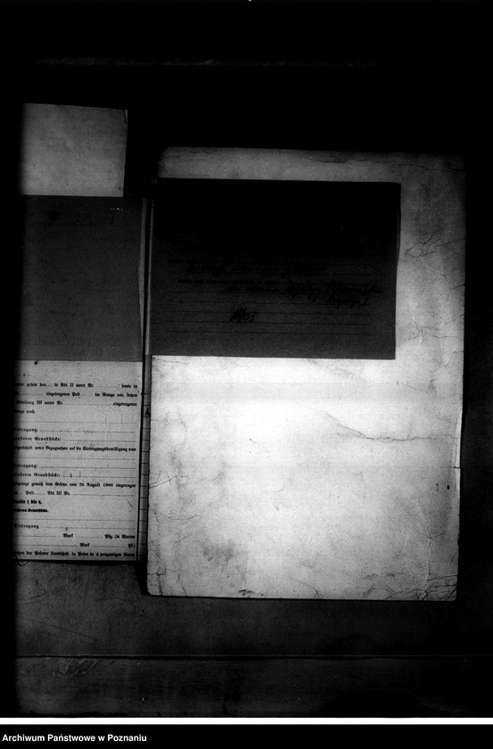 Obraz 19 z jednostki "Podanin - parcelacja majątku"