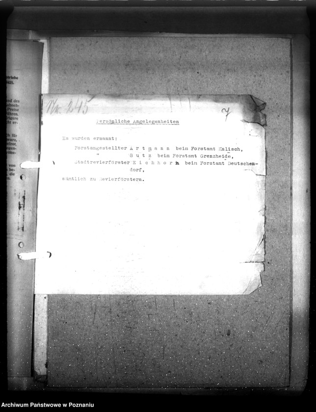 Obraz 11 z jednostki "Verordnungsblatt Nr. 41"